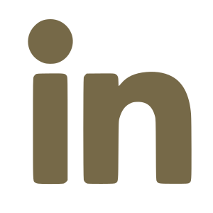 LinkedInn icon